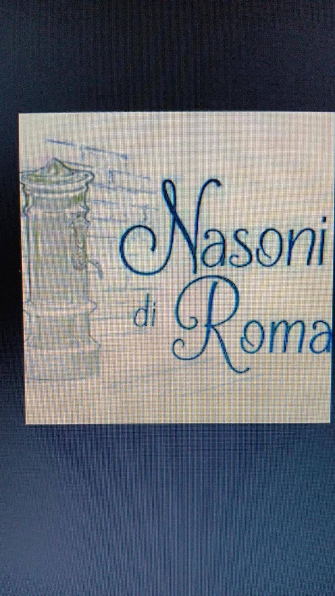Aparthotel Nasoni Di Roma Extérieur photo