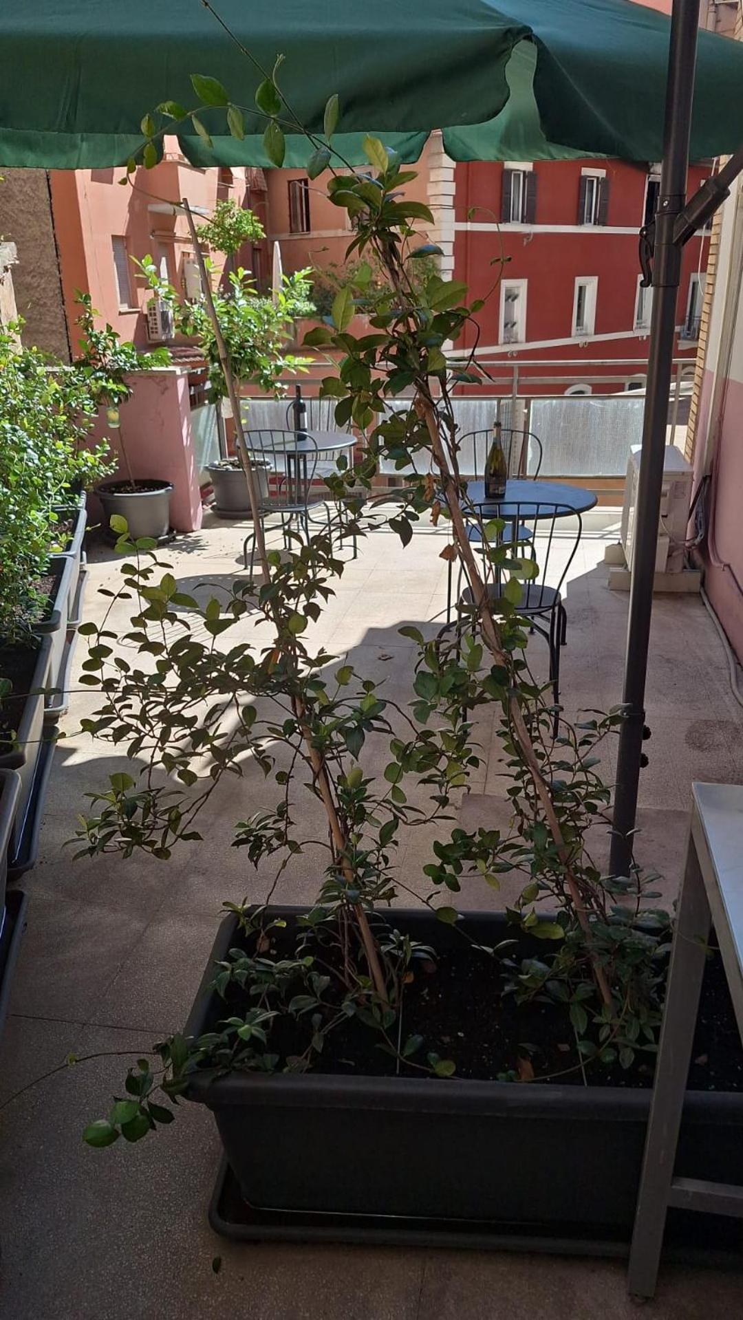 Aparthotel Nasoni Di Roma Extérieur photo